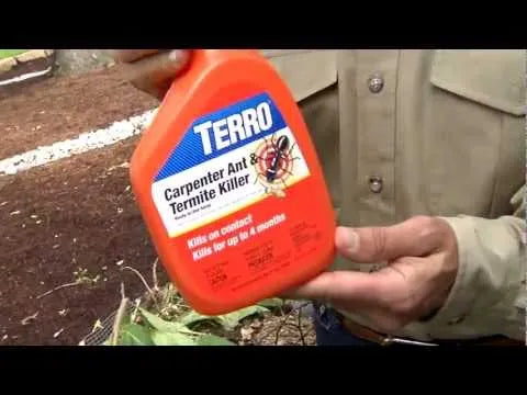 TERRO® Carpenter Ant & Termite Killer Spray