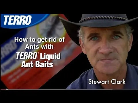 TERRO® Liquid Ant Baits