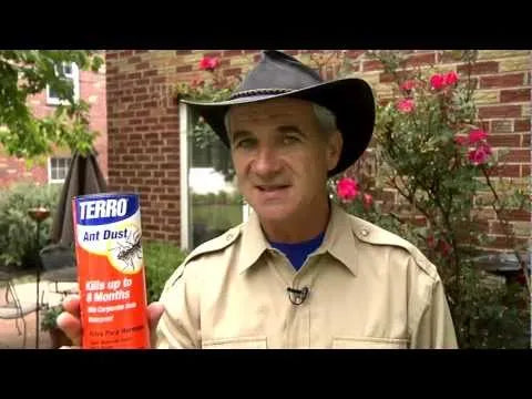 TERRO® Ant Dust