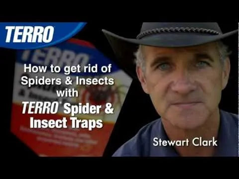 TERRO® Spider & Insect Trap