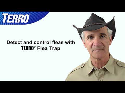 TERRO® Refillable Flea Trap