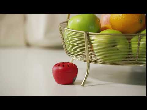 TERRO® Fruit Fly Trap