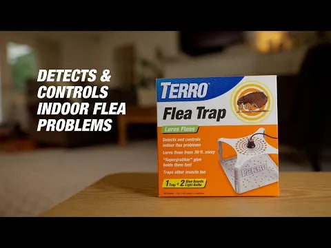 TERRO® Refillable Flea Trap