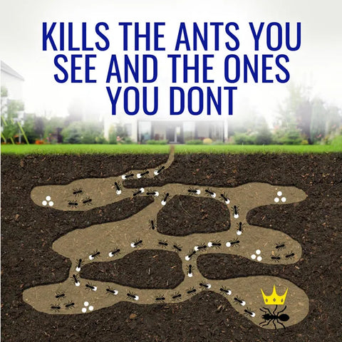 TERRO® Liquid Ant Killer