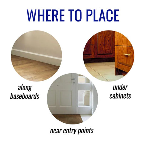 TERRO® Liquid Ant Killer