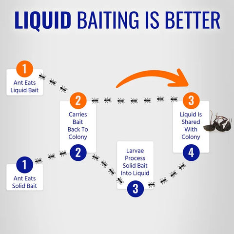 TERRO® Liquid Ant Killer