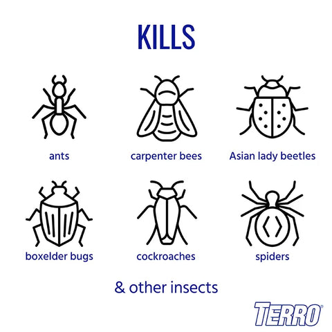TERRO® Outdoor Ant Killer Spray