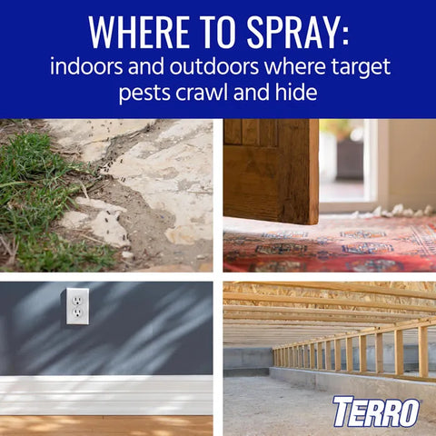 TERRO® Spider Killer Aerosol Spray