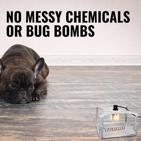 TERRO® Refillable Flea Trap