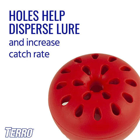 TERRO® Fruit Fly Trap