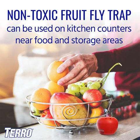 TERRO® Fruit Fly Trap