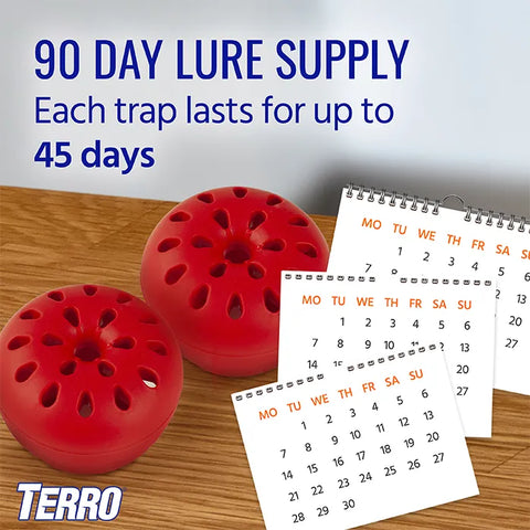 TERRO® Fruit Fly Trap