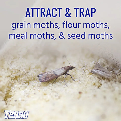 TERRO® Pantry Moth Traps