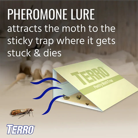 TERRO® Pantry Moth Traps