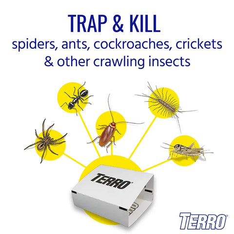 TERRO® Spider & Insect Trap