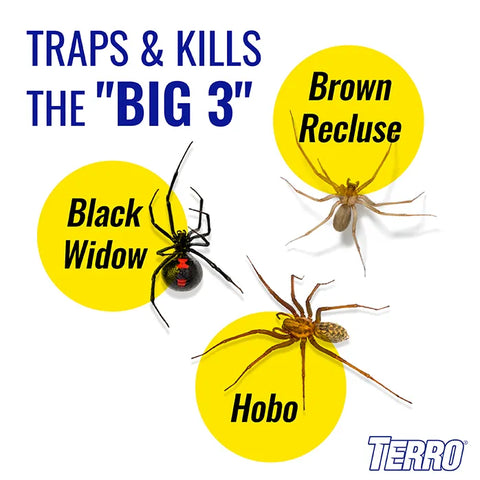 TERRO® Spider & Insect Trap