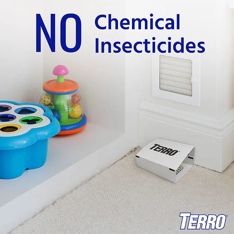 TERRO® Spider & Insect Trap 10-Pack