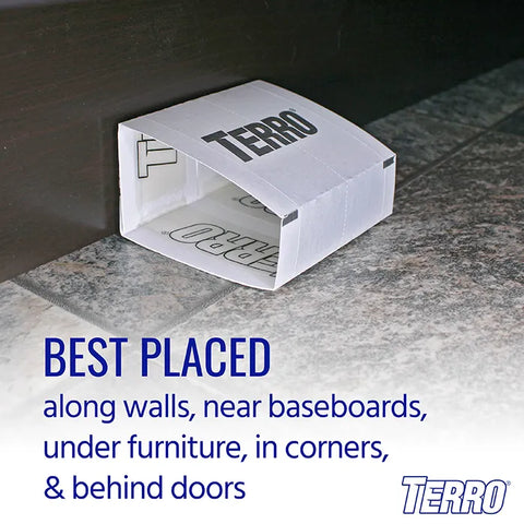TERRO® Spider & Insect Trap 10-Pack