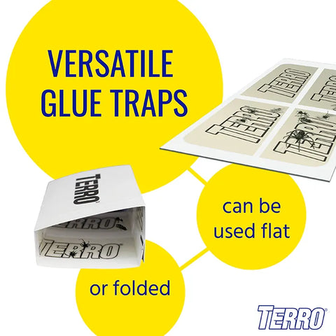 TERRO® Spider & Insect Trap 10-Pack