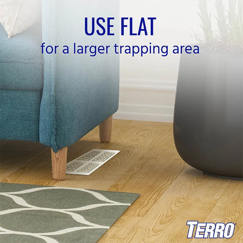 TERRO® Spider & Insect Trap