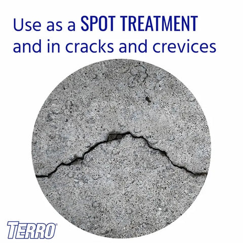 TERRO® Ant Killer Spray