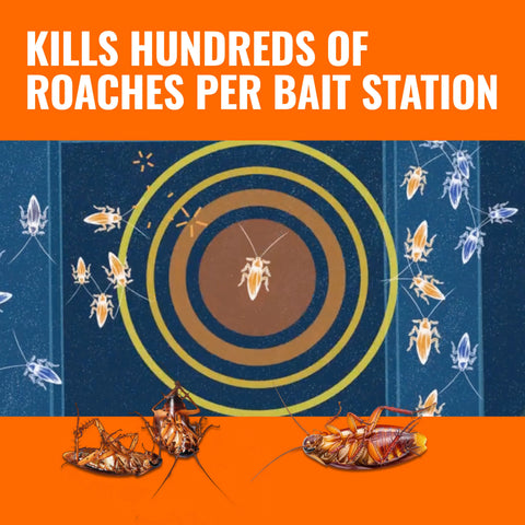 TERRO® Roach Killing Gel Baits